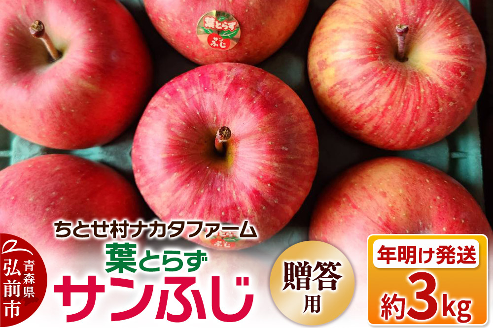 【26年1月～発送】りんご 葉とらずサンふじ 約3kg 贈答用 ちとせ村