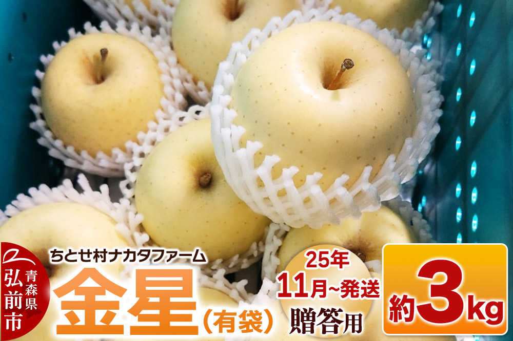 【25年11月～発送】りんご【贈答用】金星（有袋）約3kg