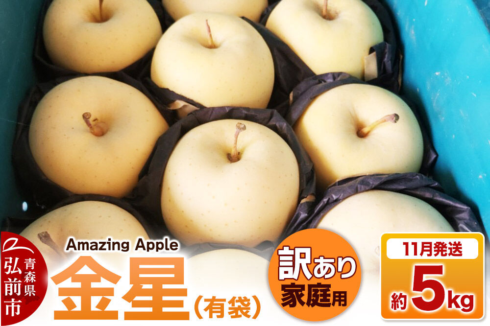 【寄附金額見直しました】【26年11月下旬発送】りんご 金星（有袋）【訳あり】家庭用 約5kg [りんご 金星 有袋 訳あり 家庭用 5kg アップル おいしい 果実 果物 黄色 美味 林檎 青森県 弘前市]