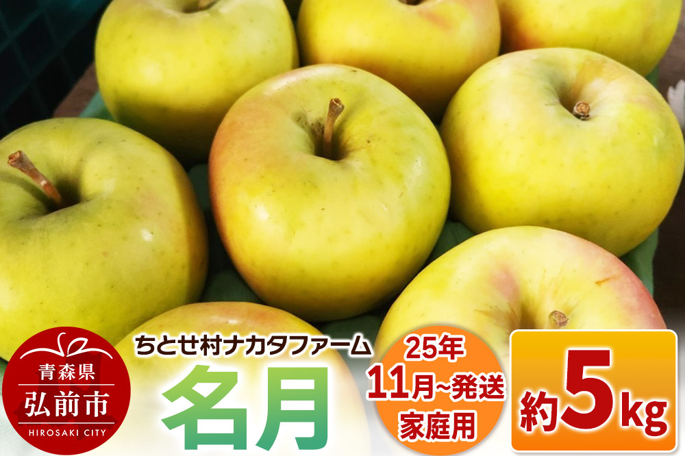 【25年11月～発送】りんご【家庭用】名月 約5kg