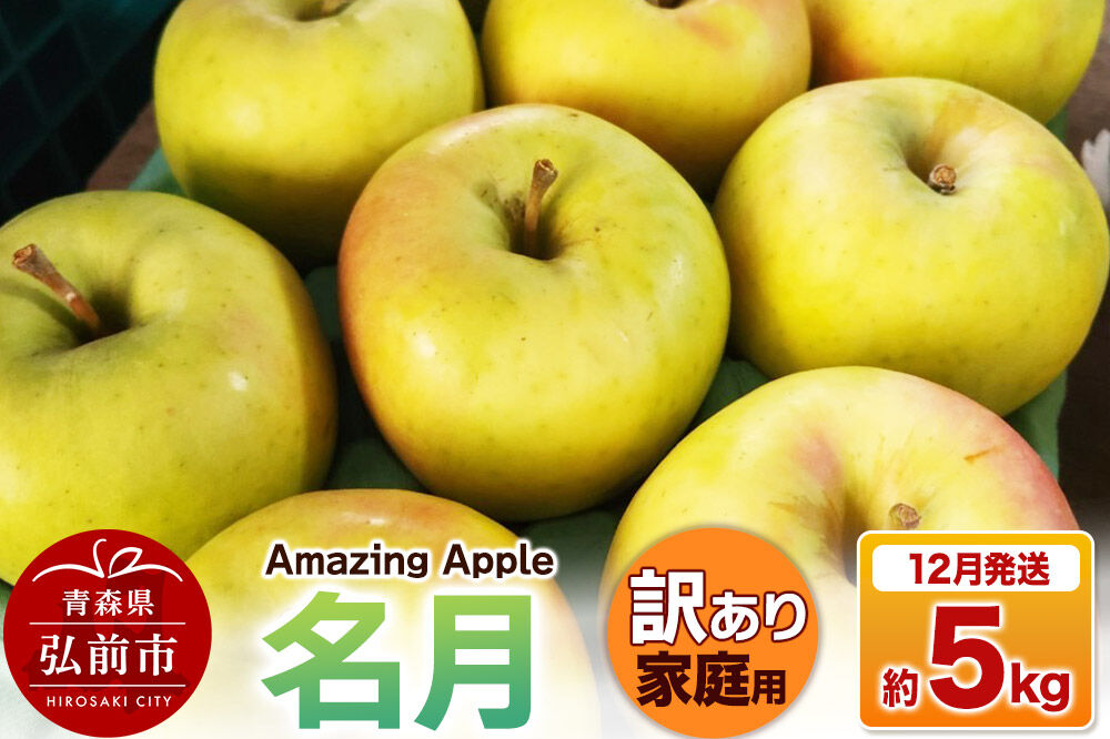 【寄附金額見直しました】【26年12月発送】りんご 名月【訳あり】家庭用 約5kg [りんご 名月 訳あり 家庭用 5kg アップル おいしい 果実 果物 美味 林檎 青森県 弘前市]