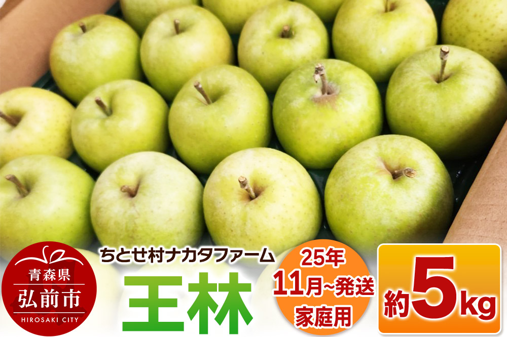 【25年11月～発送】りんご【家庭用】王林 約5kg