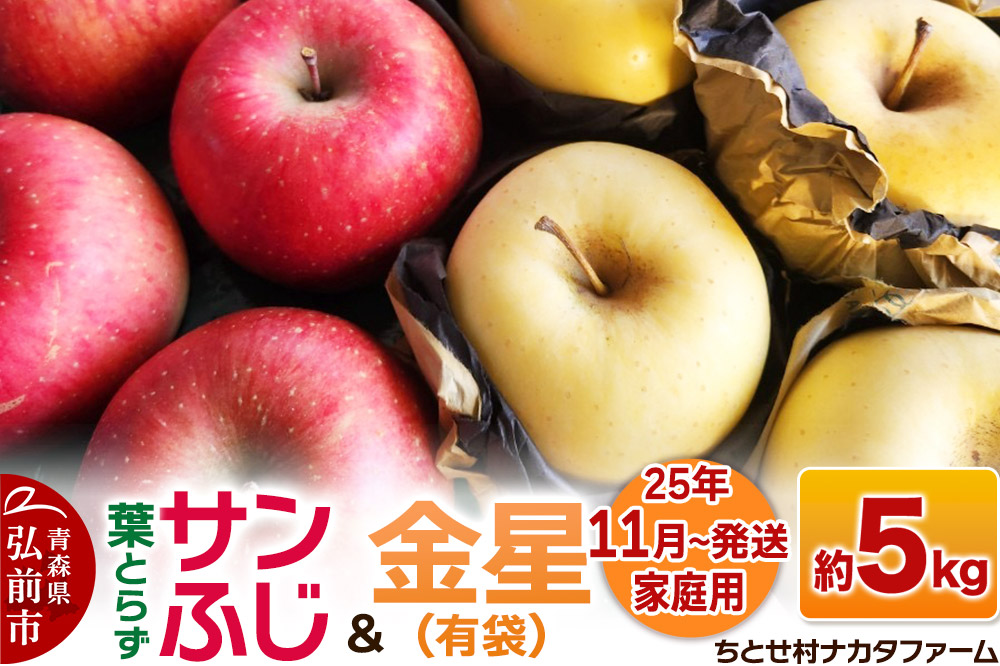 【25年11月～発送】りんご【家庭用】葉取らずサンふじと金星（有袋）約5kg