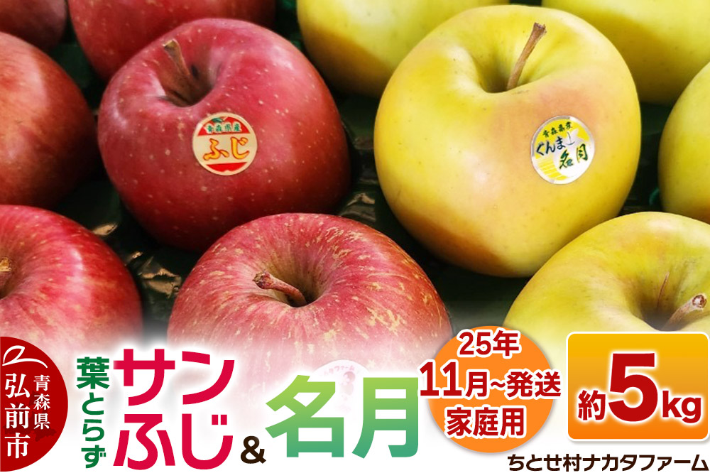 【25年11月～発送】りんご【家庭用】葉取らずサンふじと名月 約5kg