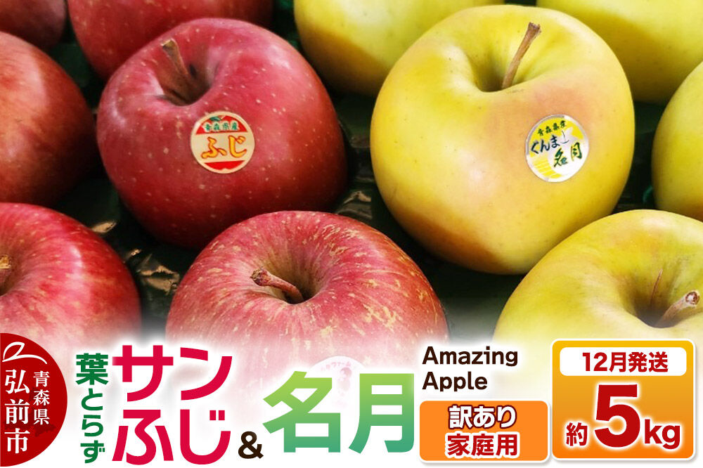 【寄附金額見直しました】【26年12月発送】りんご 葉取らずサンふじ＆名月 詰め合わせ【訳あり】家庭用 約5kg [りんご サンふじ 葉とらず ふじ 名月 訳あり 家庭用 5kg 詰め合わせ セット アップル おいしい 果実 果物 美味 葉っぱ 林檎 青森県 弘前市]