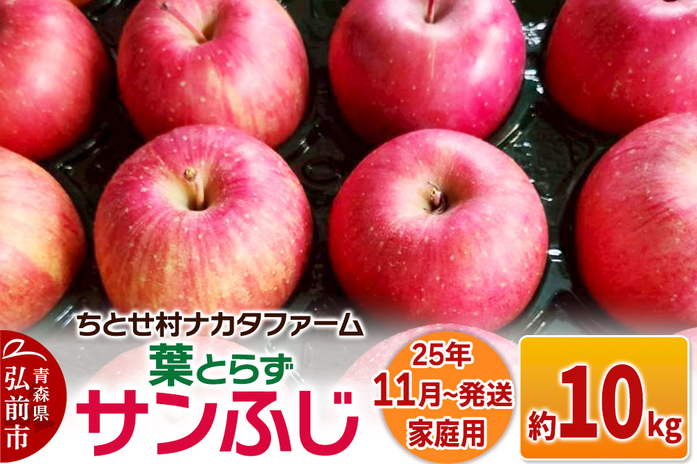 【25年11月～発送】りんご【家庭用】葉取らずサンふじ 約10kg
