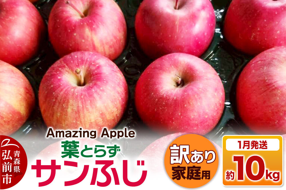 【寄附金額見直しました】【27年1月発送】りんご 葉とらずサンふじ【訳あり】家庭用 約10kg [りんご サンふじ 葉とらず ふじ 訳あり 家庭用 10kg アップル おいしい 果実 果物 取ら 赤色 美味 葉っぱ 林檎 青森県 弘前市]