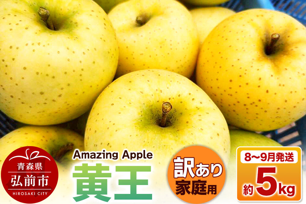 【寄附金額見直しました】【26年8月下旬～9月発送】りんご 黄王【訳あり】家庭用 約5kg [青森産 りんご 黄王 きおう アップル 林檎 リンゴ 果物 果実 美味 青森県 弘前市]