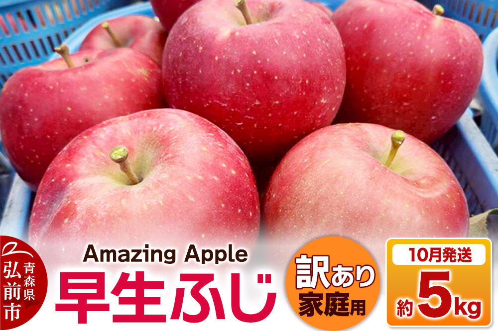 【寄附金額見直しました】【26年10月発送】りんご 早生ふじ【訳あり】家庭用 約5kg [青森産 りんご 早生ふじ アップル 林檎 リンゴ 果物 果実 美味 青森県 弘前市]