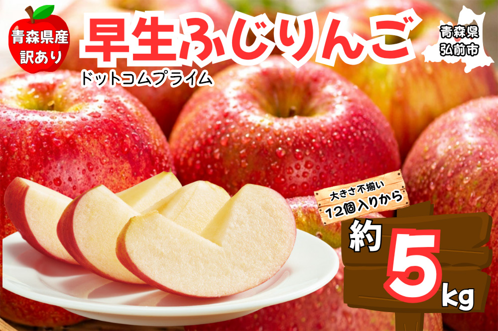 りんご【訳あり ご家庭用】早生ふじ 5kg 青森県産 青森 果物 フルーツ 林檎 リンゴ くだもの 弘前市