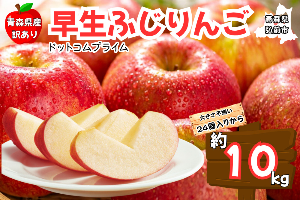 りんご【訳あり ご家庭用】早生ふじ 10kg 青森県産 青森 果物 フルーツ 林檎 リンゴ くだもの 弘前市