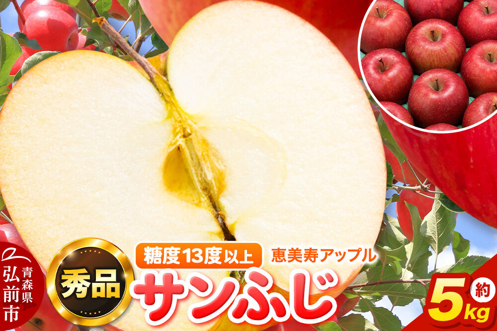 【寄附金額見直しました】りんご 【糖度13度以上】サンふじ 約5kg 【秀品】 青森県 フルーツ 果物