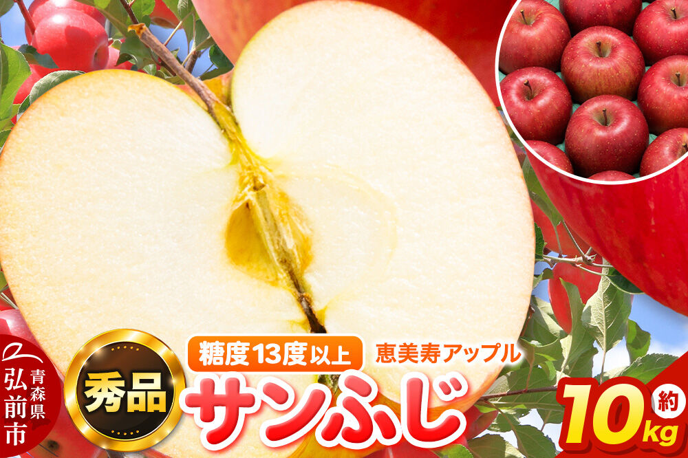 【寄附金額見直しました】りんご 【糖度13度以上】サンふじ 約10kg 【秀品】 青森県 フルーツ 果物