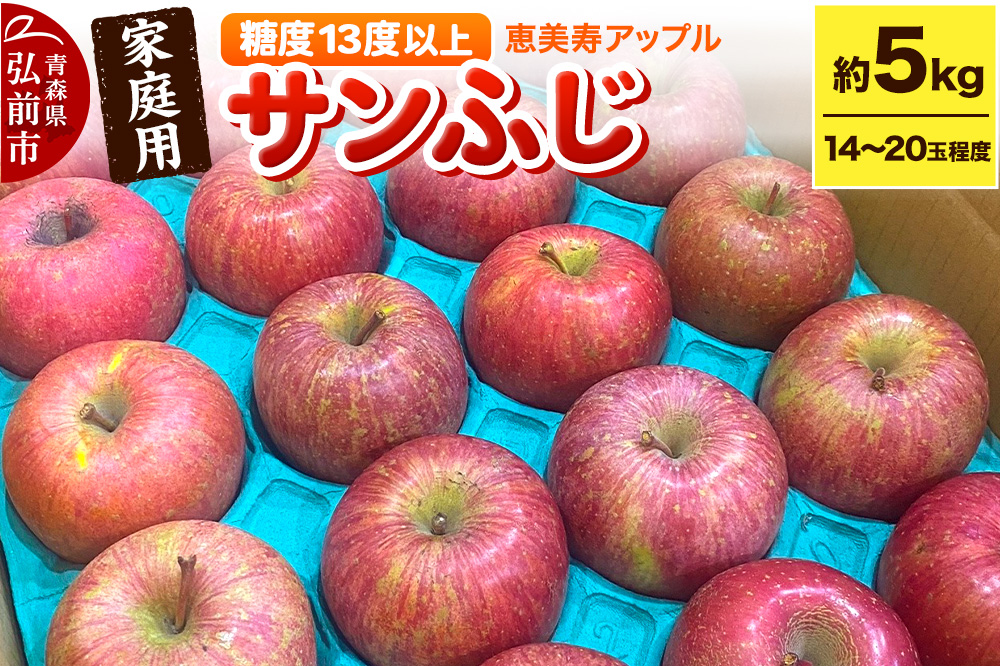 【25年12月～発送】りんご 【糖度13度以上】サンふじ 約5kg 【家庭用】 青森県 フルーツ 果物