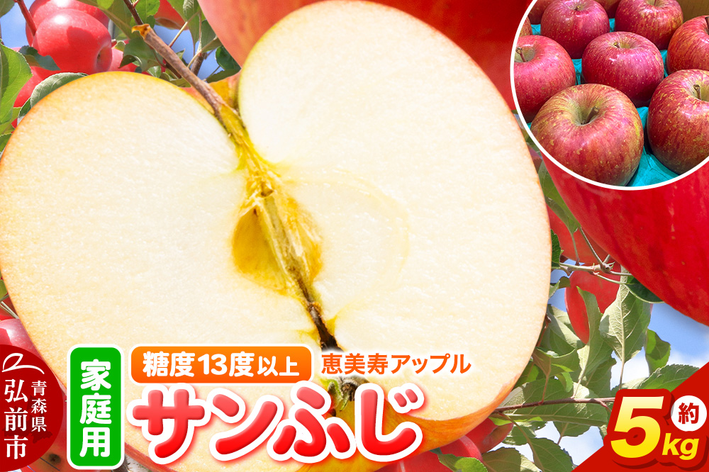 りんご 【糖度13度以上】サンふじ 約5kg 【家庭用】 青森県 フルーツ 果物