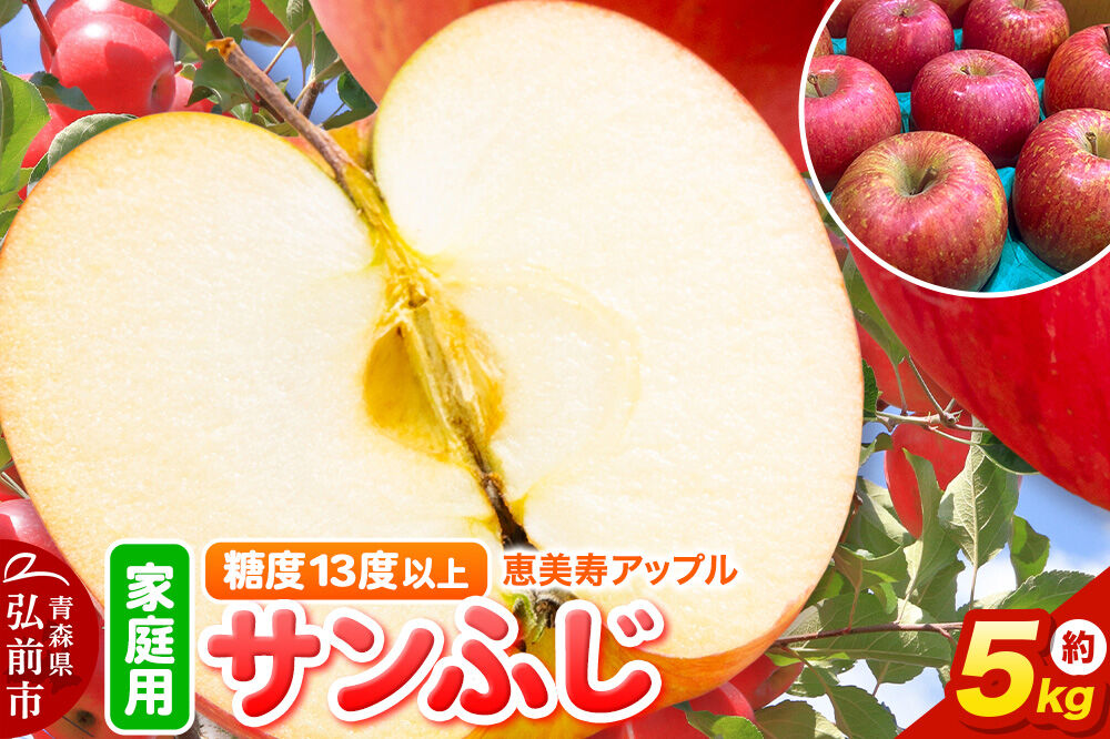 【寄附金額見直しました】りんご 【糖度13度以上】サンふじ 約5kg 【家庭用】 青森県 フルーツ 果物