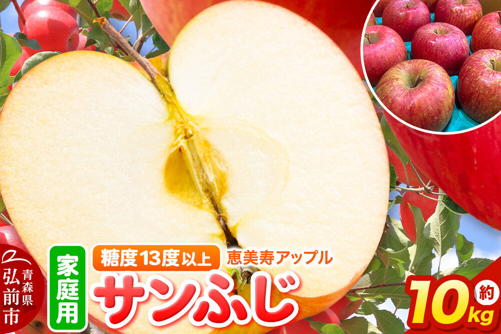 【寄附金額見直しました】りんご 【糖度13度以上】サンふじ 約10kg 【家庭用】 青森県 フルーツ 果物