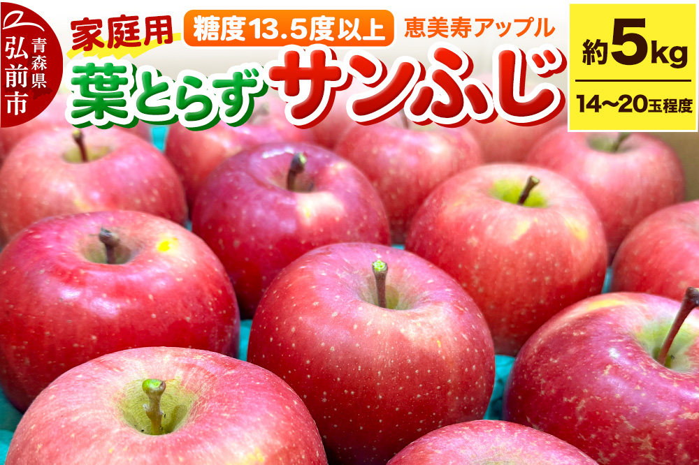 【25年12月～発送】りんご 【糖度13.5度以上】サンふじ 約5kg 葉とらず 青森県 フルーツ 果物