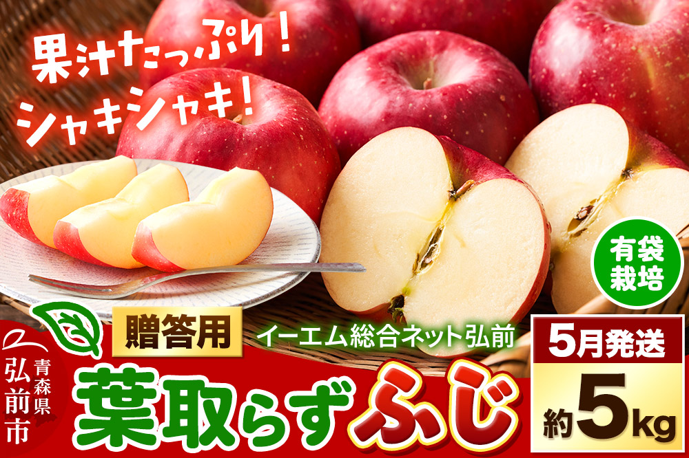 【26年5月クール便発送】りんご  贈答用 葉取らず ふじ 約5kg（有袋栽培・CA貯蔵）EMりんご
