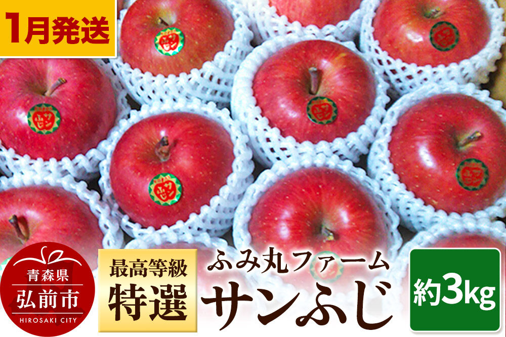 【寄附金額見直しました】【26年1月～発送】りんご ふみ丸ファーム 最高等級「特選」サンふじ 約3kg