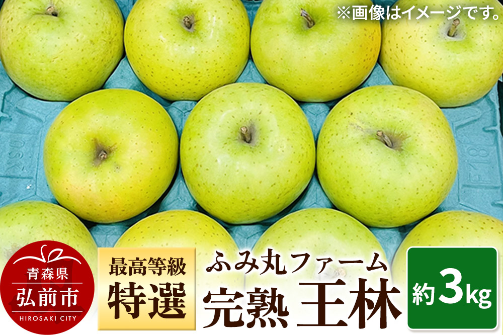 【25年12月発送】りんご ふみ丸ファーム 最高等級「特選」完熟 王林 約3kg 青森 弘前 林檎 リンゴ 黄色