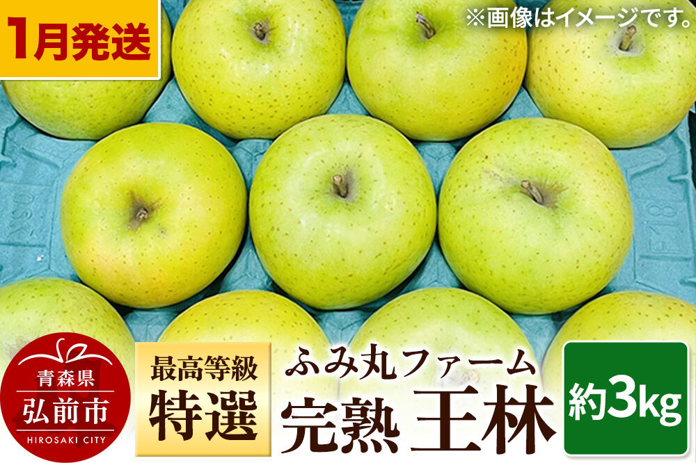 【寄附金額見直しました】【26年1月～発送】りんご ふみ丸ファーム 最高等級「特選」完熟 王林 約3kg