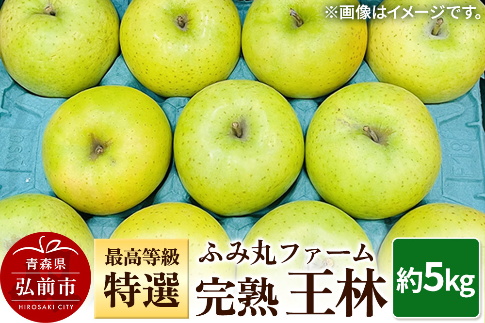 【25年12月発送】りんご ふみ丸ファーム 最高等級「特選」完熟 王林 約5kg