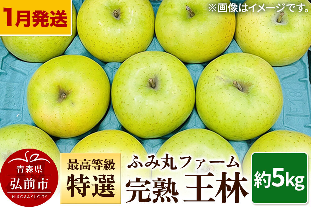 【寄附金額見直しました】【26年1月～発送】りんご ふみ丸ファーム 最高等級「特選」完熟 王林 約5kg