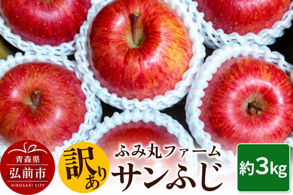 【25年12月発送】りんご ふみ丸ファーム【訳あり】サンふじ 3kg