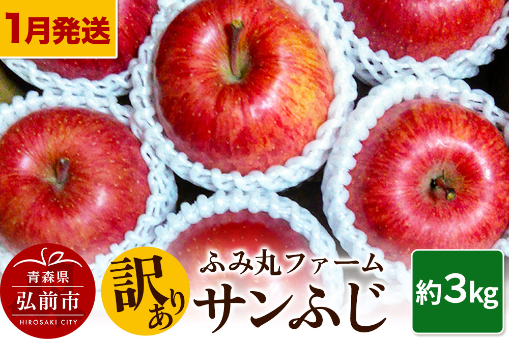 【26年1月～発送】りんご ふみ丸ファーム【訳あり】サンふじ 約3kg