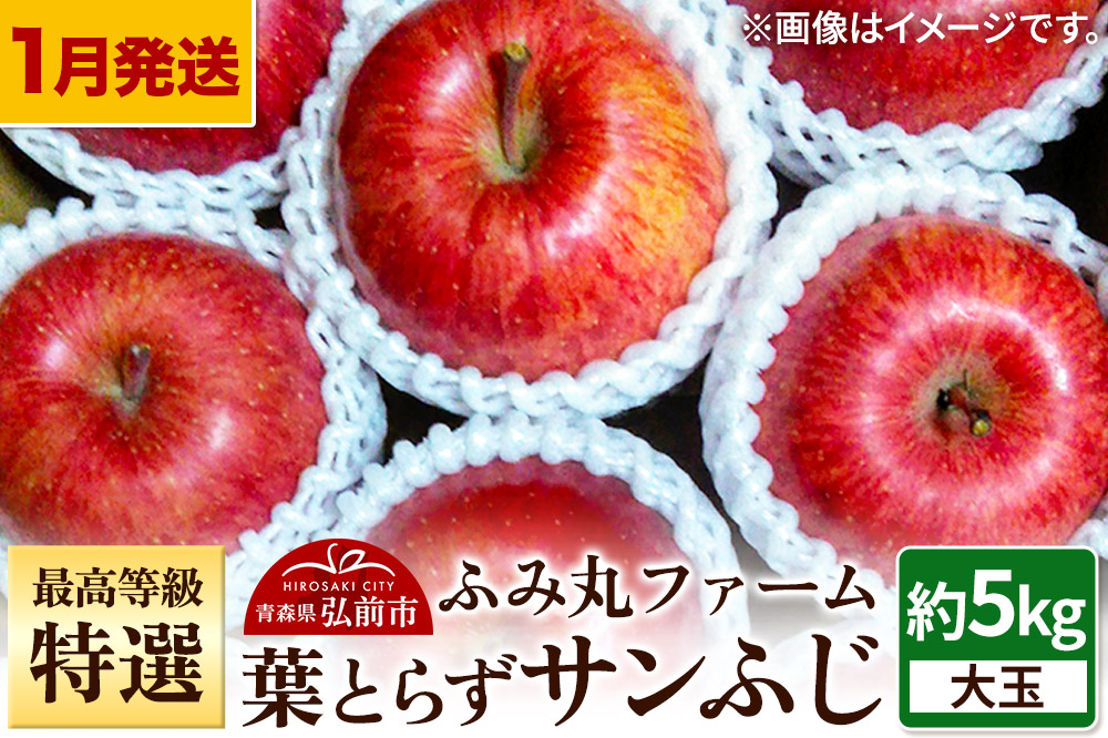 【26年1月～発送】りんご 最高等級「特選」大玉 葉とらず サンふじ 約5kg 糖度14度以上