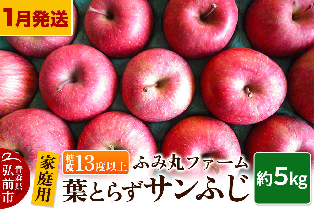 【寄附金額見直しました】【26年1月～発送】りんご【家庭用】葉とらず サンふじ 約5kg 糖度13度以上 林檎 リンゴ 果物 くだもの フルーツ 青森