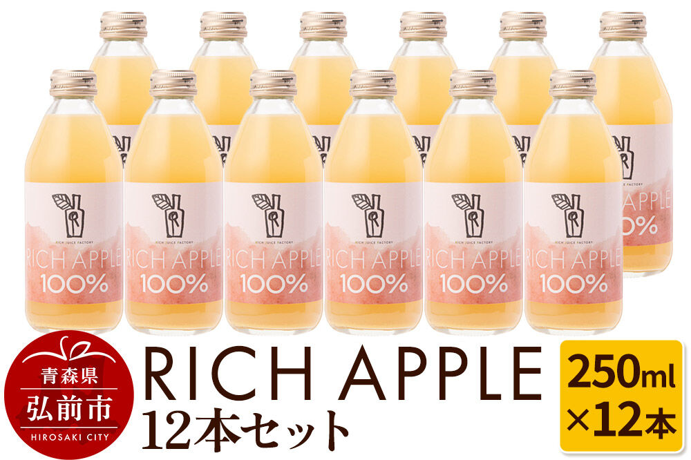 【寄附金額見直しました】りんごジュース RICH APPLE 12本セット（250ml×12本）