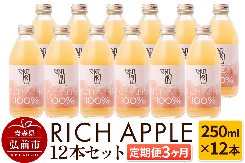 【定期便3ヶ月】RICH APPLE りんごジュース12本セット（250ml×12本×3回）【飲料類 果汁飲料】