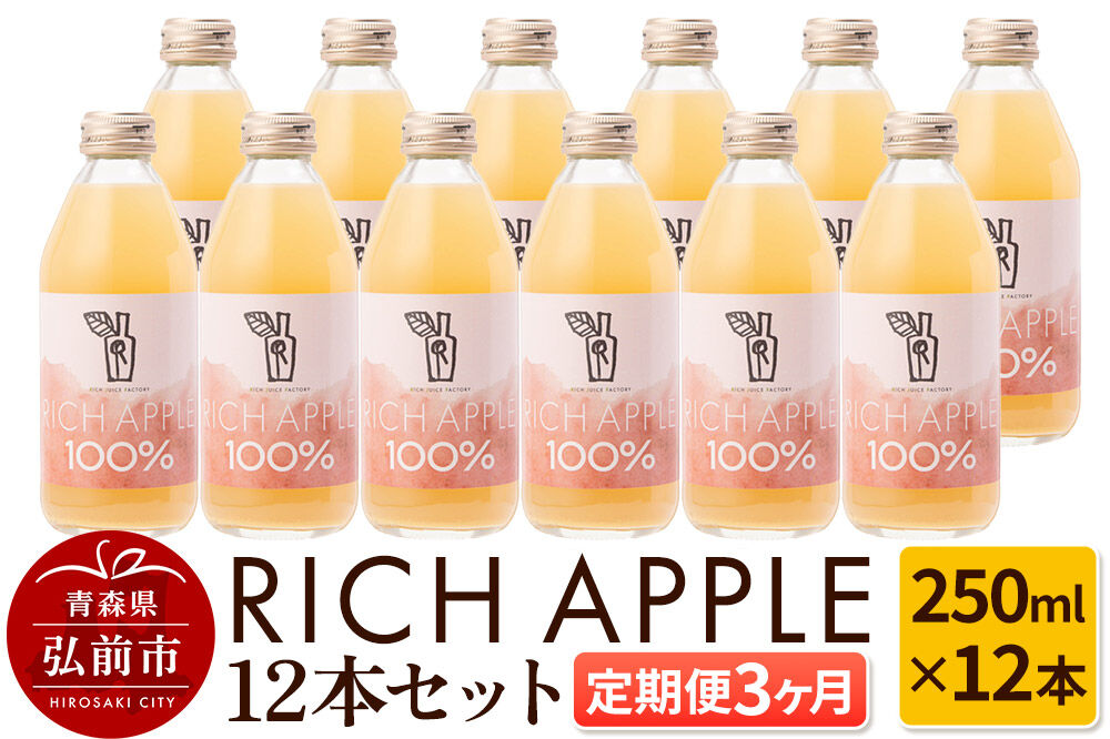 【寄附金額見直しました】【定期便3ヶ月】RICH APPLE りんごジュース12本セット（250ml×12本×3回）【飲料類 果汁飲料】