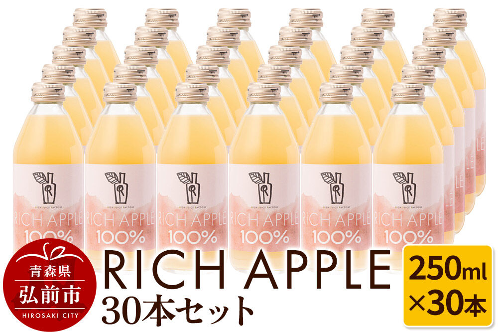 【寄附金額見直しました】りんごジュース RICH APPLE 30本セット（250ml×30本）