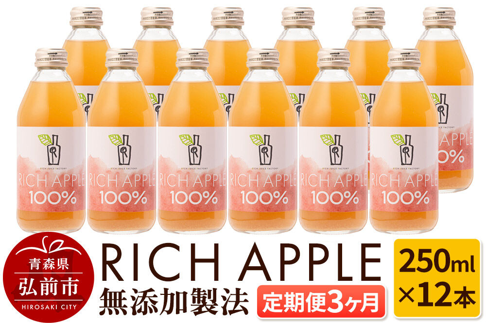 【寄附金額見直しました】【定期便3ヶ月】RICH APPLE 無添加製法 りんごジュース12本セット（250ml×12本×3回）【飲料類 果汁飲料】