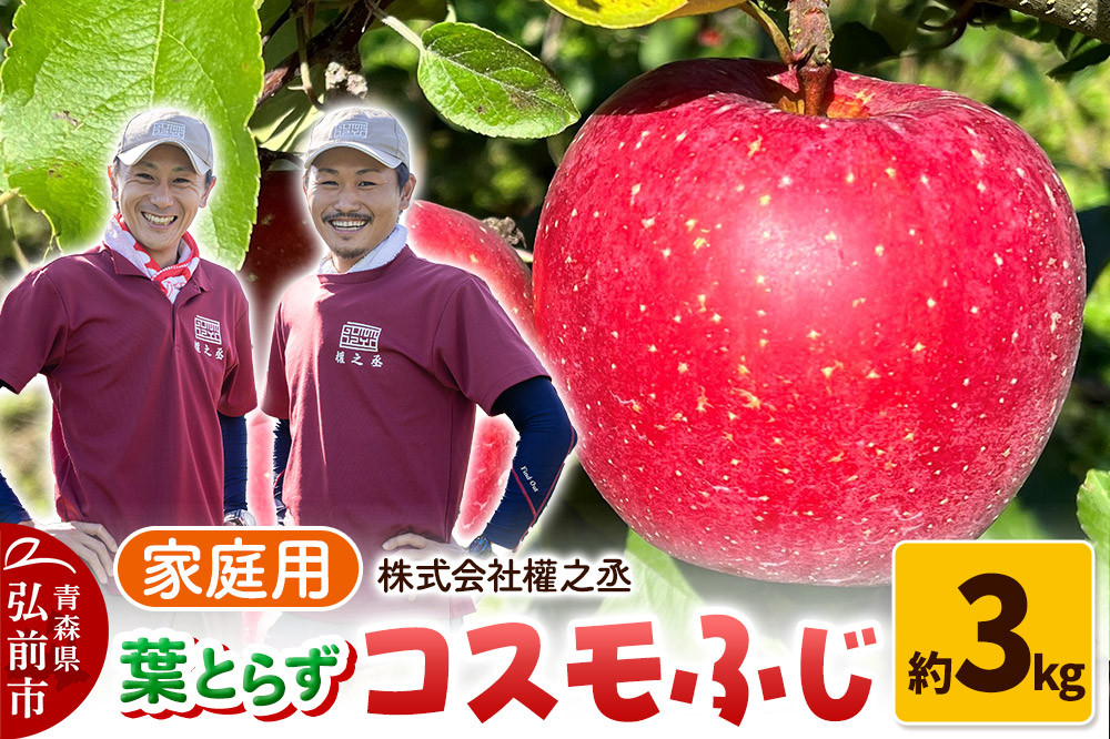 りんご 權之丞 葉とらずりんご コスモふじ 家庭用 約3kg【弘前市産・青森りんご】