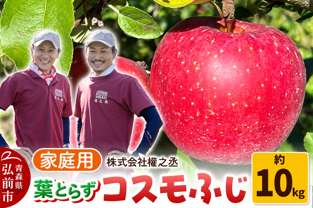 りんご 權之丞 葉とらずりんご コスモふじ 家庭用 約10kg【弘前市産・青森りんご】