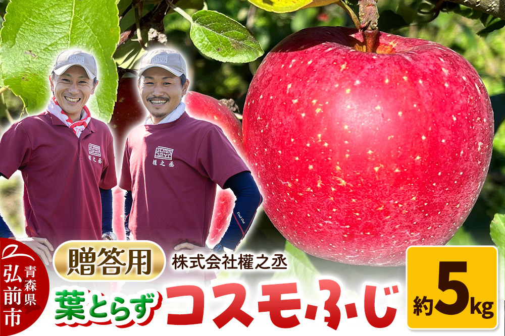りんご 權之丞 葉とらずりんご コスモふじ 贈答用 約5kg【弘前市産・青森りんご】