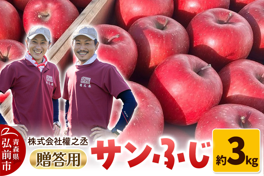 りんご 權之丞 サンふじ 贈答用 約3kg【弘前市産・青森りんご】