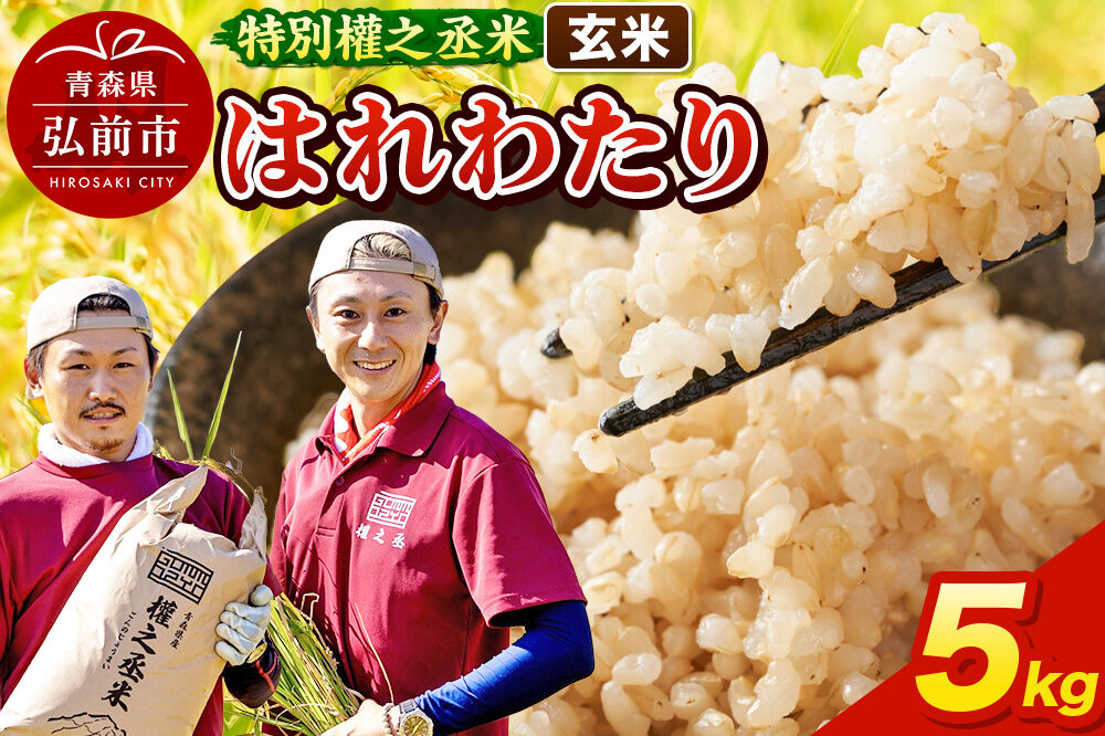 【寄附金額見直しました】はれわたり 5kg ［玄米］ 特別權之丞米 青森県産 令和7年産 [お米 東北 玄米 青森 青森県産 米 ブランド米]