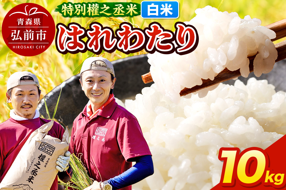 はれわたり 10kg ［白米］ 特別權之丞米 青森県産 令和7年産
