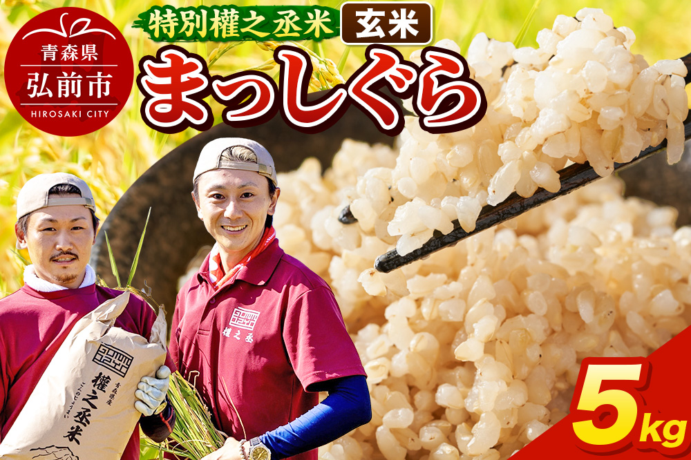 まっしぐら 5kg ［玄米］ 特別權之丞米 青森県産 令和7年産