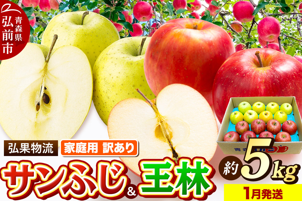 【26年1月発送】りんご 家庭用 訳あり サンふじ・王林 詰め合わせ 約5kg