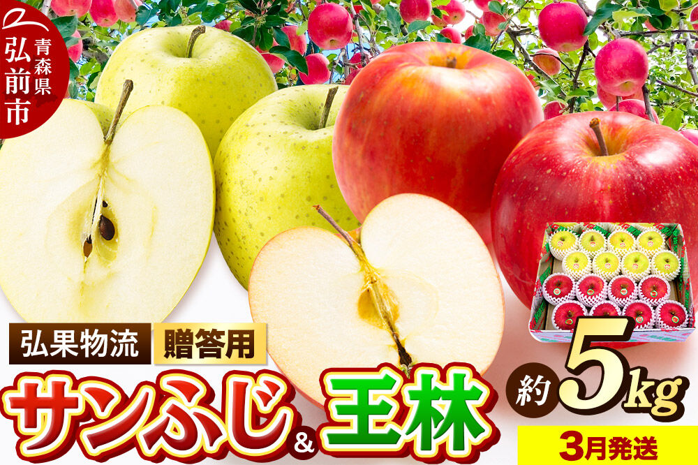 【寄附金額見直しました】【26年3月発送】りんご 贈答用 サンふじ・王林 詰め合わせ 約5kg 林檎 リンゴ 果物 くだもの フルーツ 青森