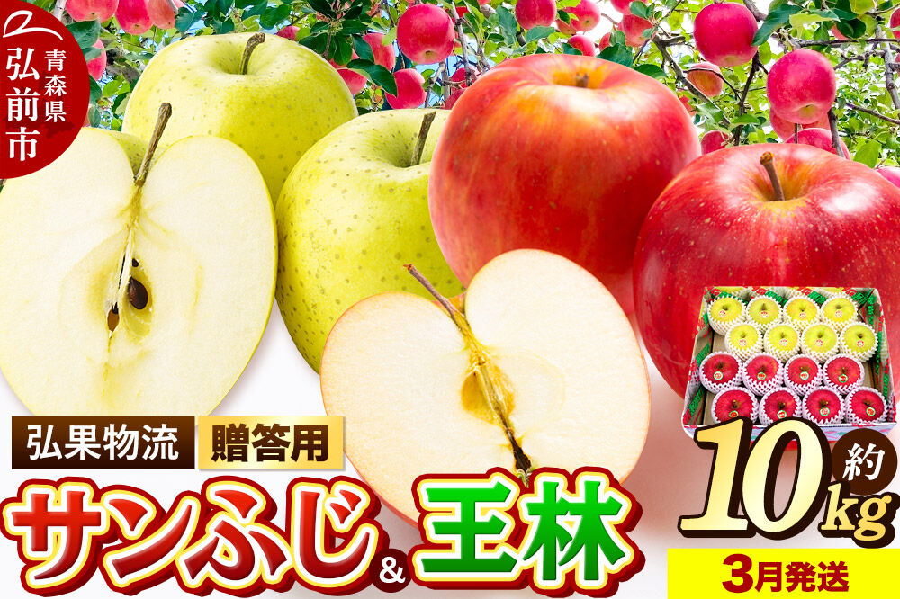 【寄附金額見直しました】りんご サンふじ・王林 詰め合わせ【贈答用】約10kg 林檎 リンゴ 果物 くだもの フルーツ 青森 [りんご サンふじ 王林 贈り物 贈答用 お歳暮 お中元 ギフト 10キロ アップル おいしい 黄色 果実 果物 詰め合わせ セット 赤色 美味]