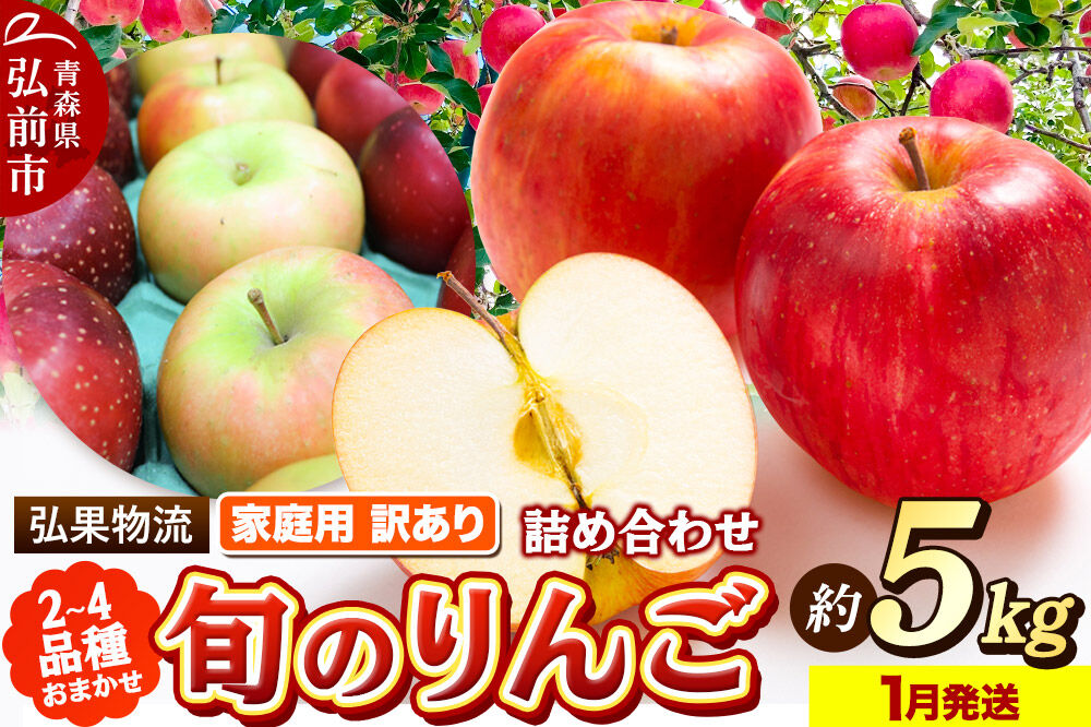 【26年1月発送】りんご 家庭用 訳あり 旬のりんご 品種おまかせ 約5kg 2品種～4品種