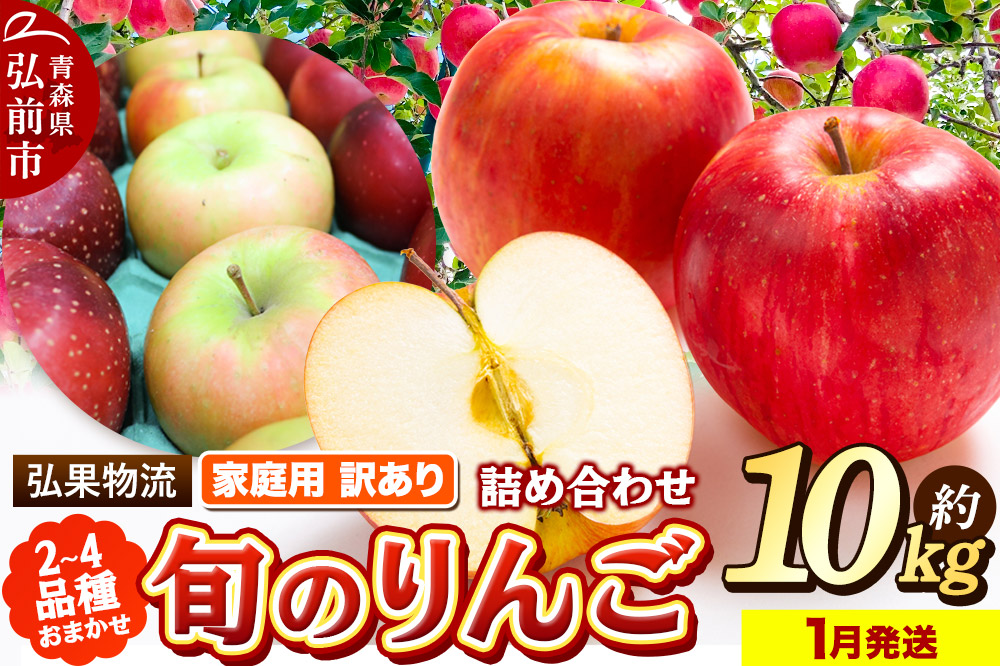 【26年1月発送】りんご 家庭用 訳あり 旬のりんご 品種おまかせ 約10kg 2品種～4品種