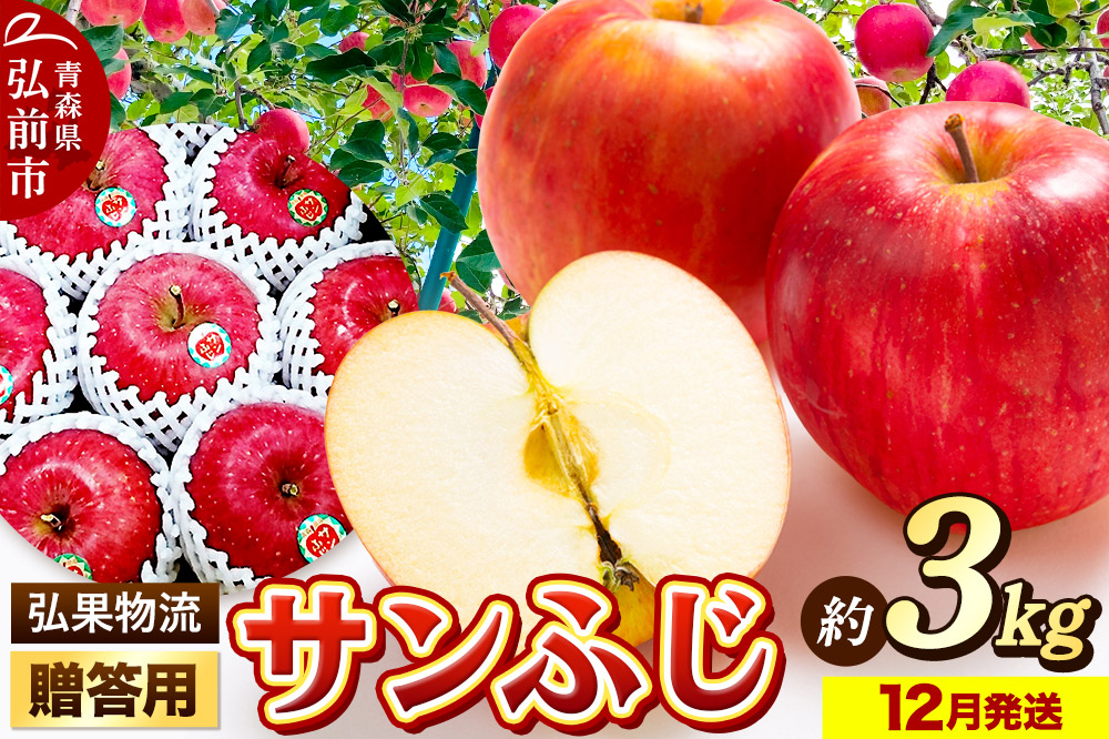 【25年12月発送】りんご 贈答用 サンふじ 約3kg